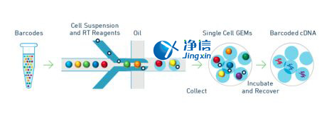 中國人自己的微流控單細(xì)胞測序儀來了！_微流控Drop-seq,微流控技術(shù)