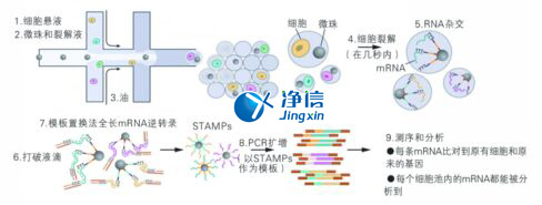 中國人自己的微流控單細(xì)胞測序儀來了！_微流控Drop-seq
